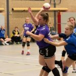 H.V. Grol DS2