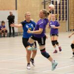 H.V. Grol DS2