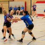 HV Grol DS3