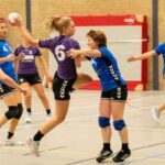 HV Grol DS3