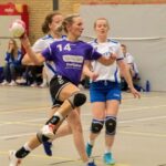 H.V. Grol DS2