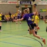 H.V. Grol DS1