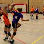 H.V. Grol DS2