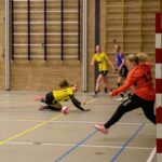 H.V. Grol DS1