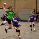 H.V. Grol DS2