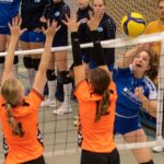 VV Grol DS1