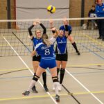 V.V. Grol DS1