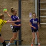 H.V. Grol DS1