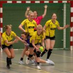 H.V. Grol DS1