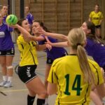 H.V. Grol DS1