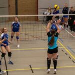 VV Grol DS4