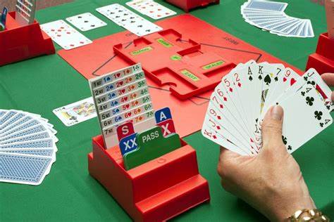 Bridge cursus