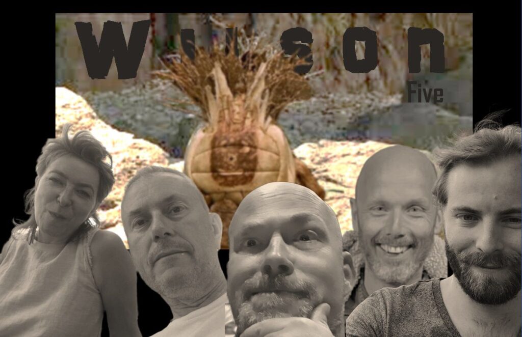 Wilson Five