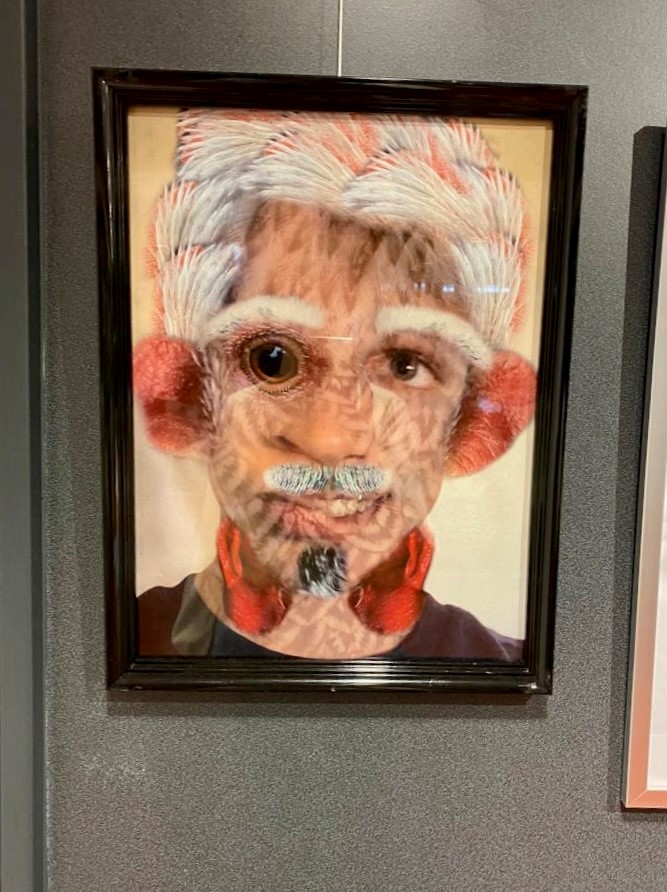 Foto 1