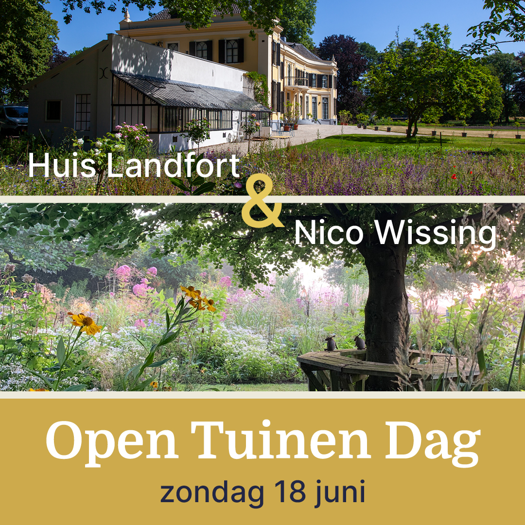 Zonnepark De Zomereiken in Groenlo: Een duurzame ontwikkeling met lokale inbreng