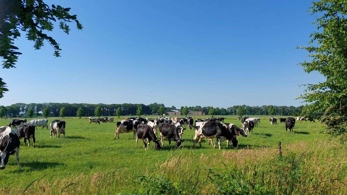 Provinciale Subsidie voor Verduurzaming van Agrarische Bedrijven in Gelderland