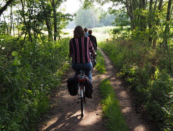 Mondriaan Fietstocht: Ontdek de Inspiratiebronnen van de Kunstenaar in Winterswijk