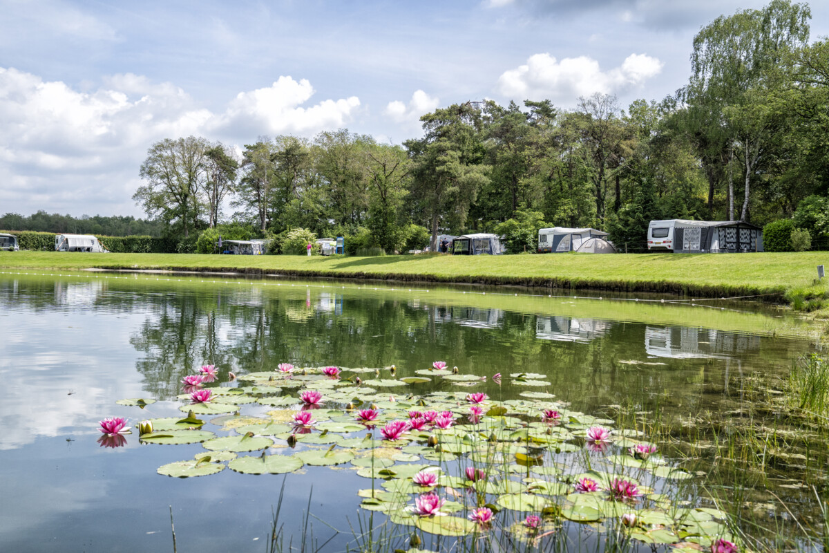Toeristische Sector Achterhoek Beoordeelt Zomerseizoen