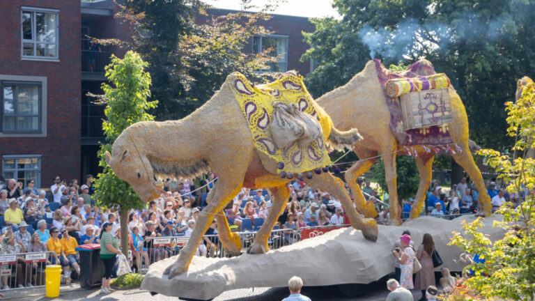Corso-27