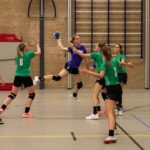 H.V. Grol DS2