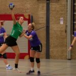 H.V. Grol DS2
