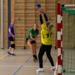 H.V. Grol DS2