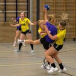 H.V. Grol DS1