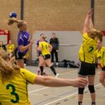 H.V. Grol DS1