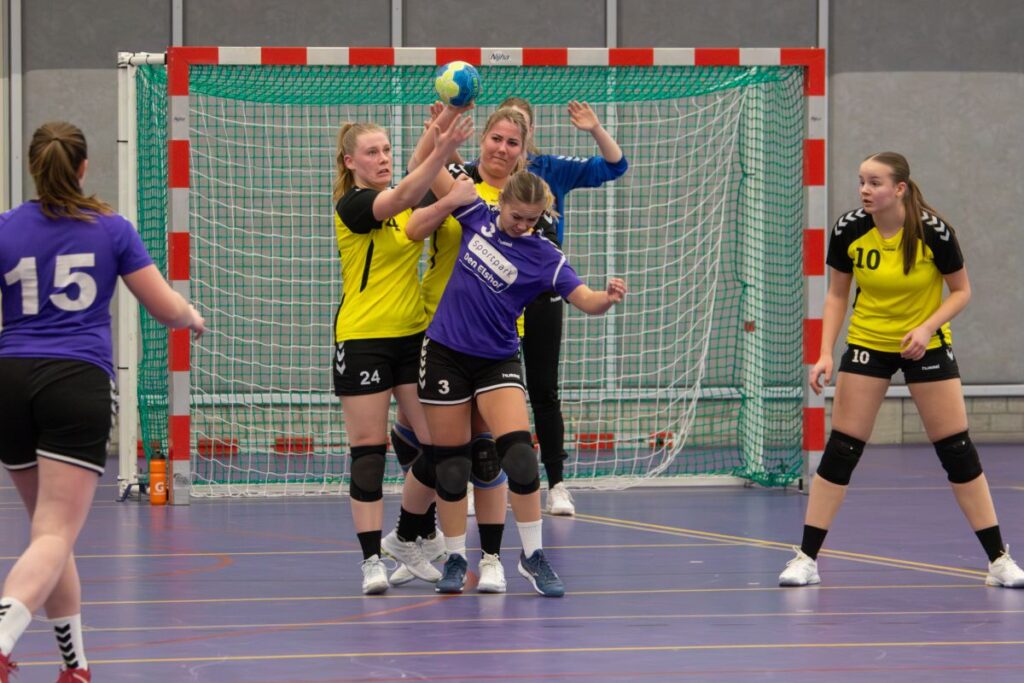 HV Grol DS1