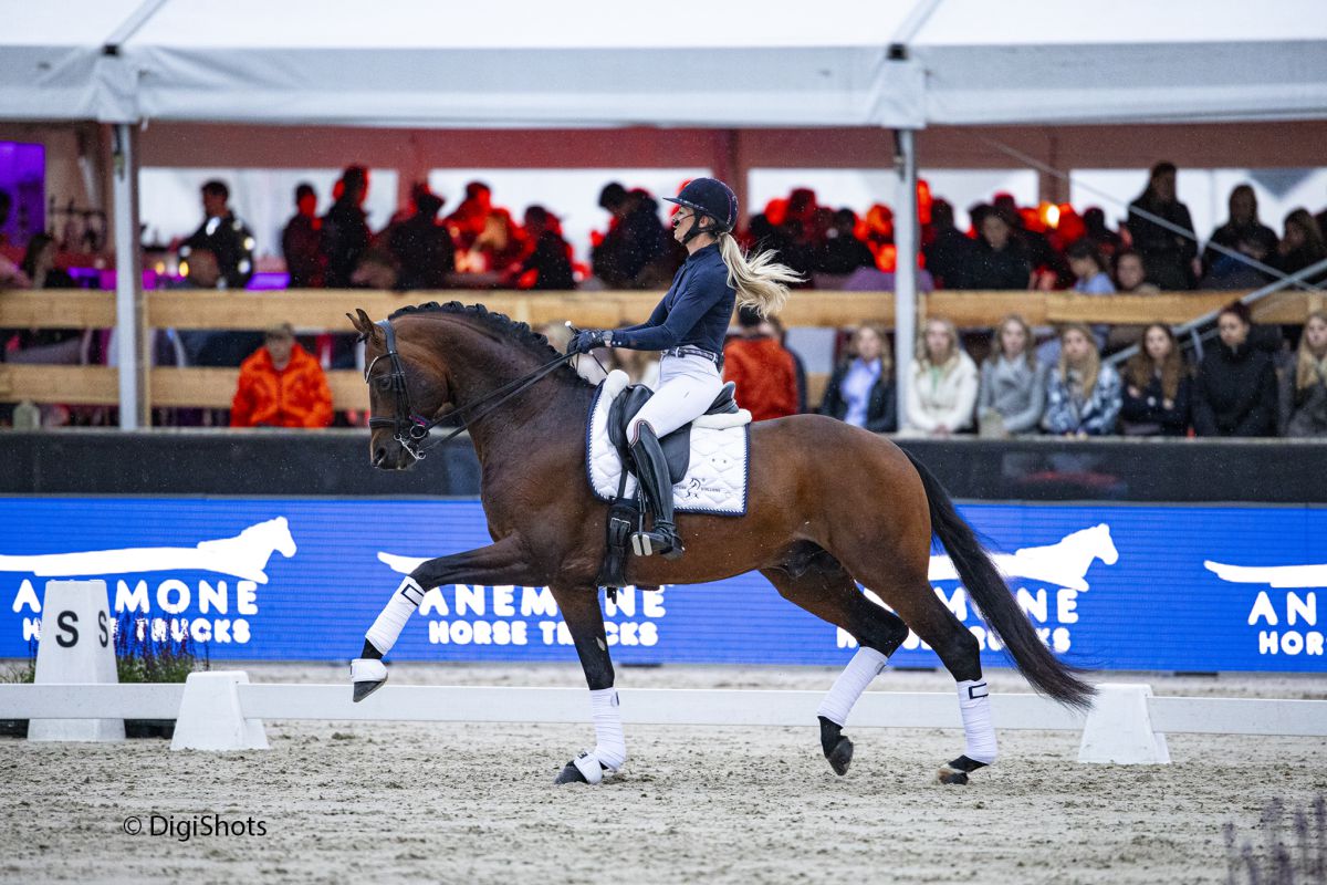 Grandioze optredens in Anemone Horse Trucks Saturday Night Gala
