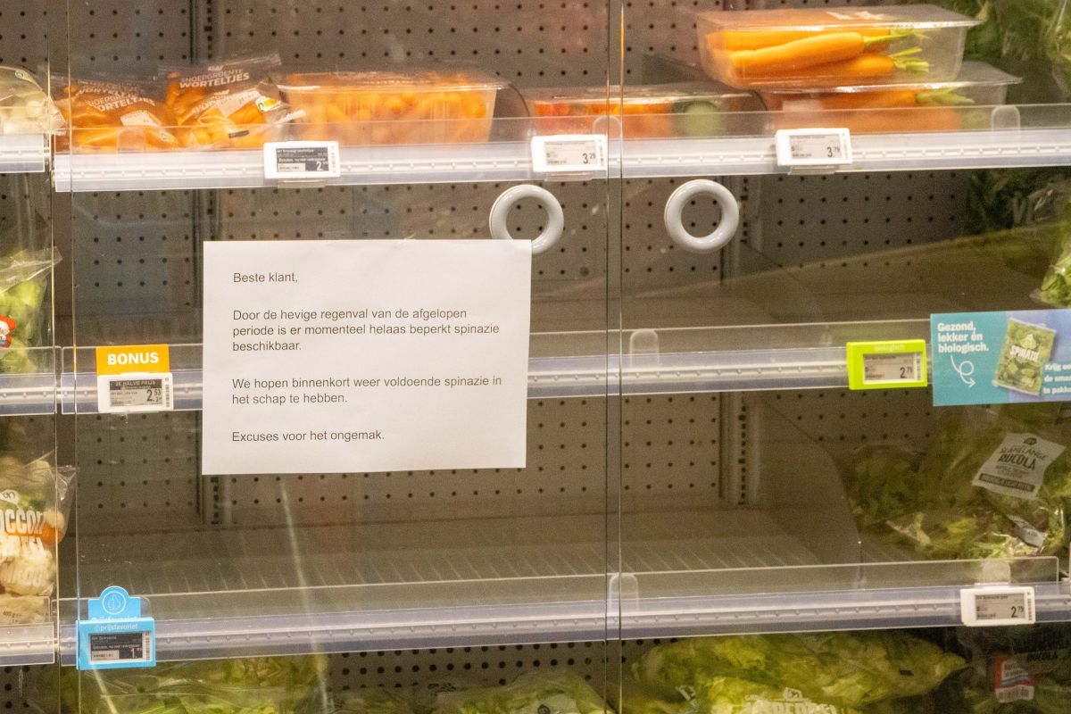 Spinazie bijna niet verkrijgbaar door extreem weer