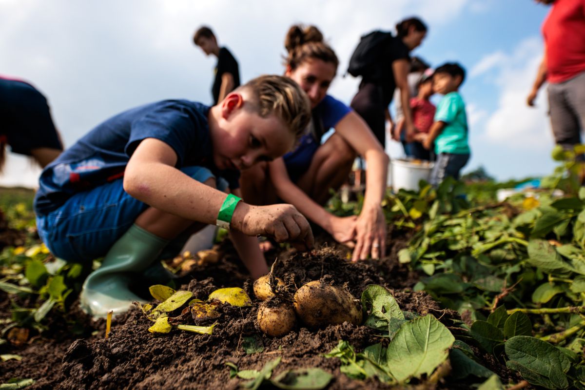 Rooi Aardappels voor Jezelf én de Voedselbank op Nationale Aardappelrooidag