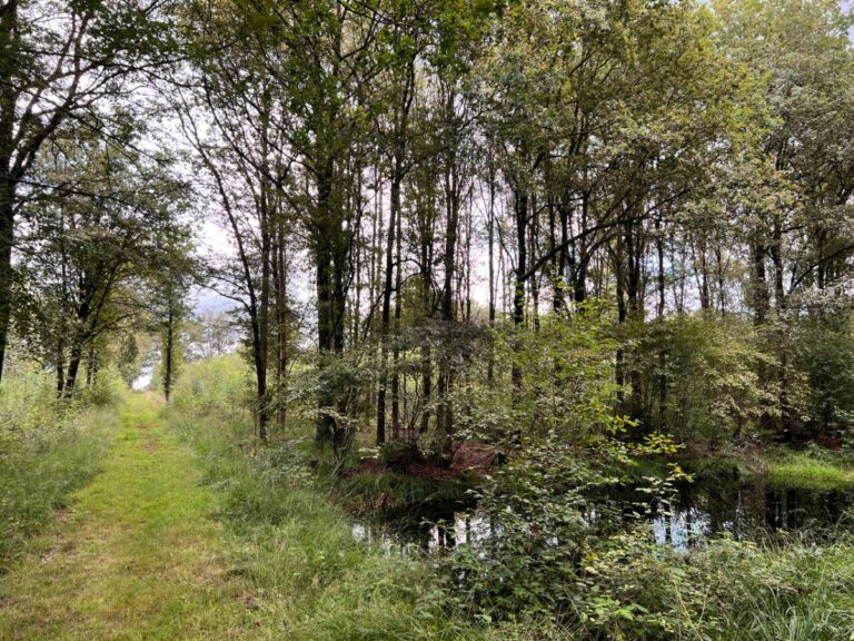 Struinen door Ratum: Ontdek het onbekende in Winterswijk
