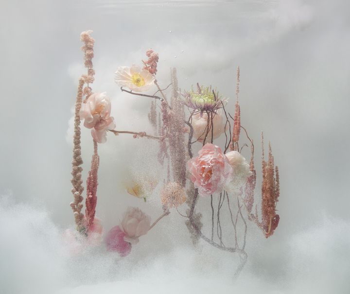 Anne ten Donkelaar Underwater Ballet scene nr. 15