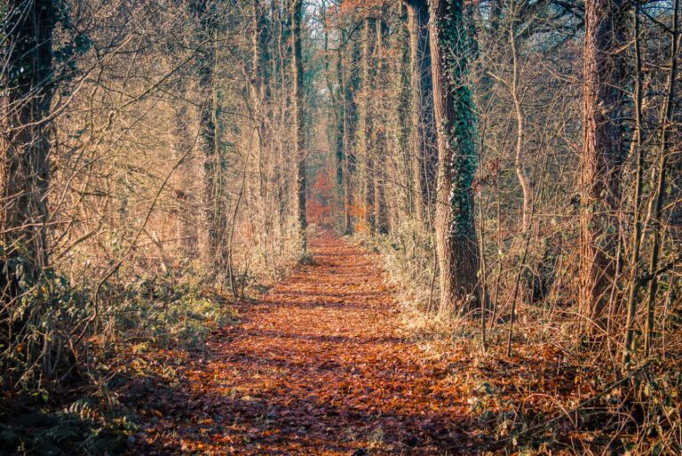 rondje-rot-hijink-foto-robert-nijhuis