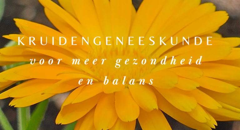 Mijke Soesbergen Fytotherapie opent haar deuren in Groenlo