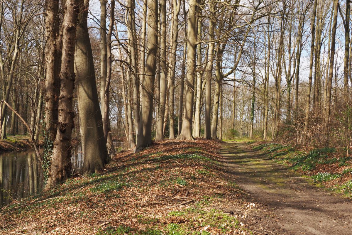 Herfst rond de kastelen: De Voorst en ’t Velde