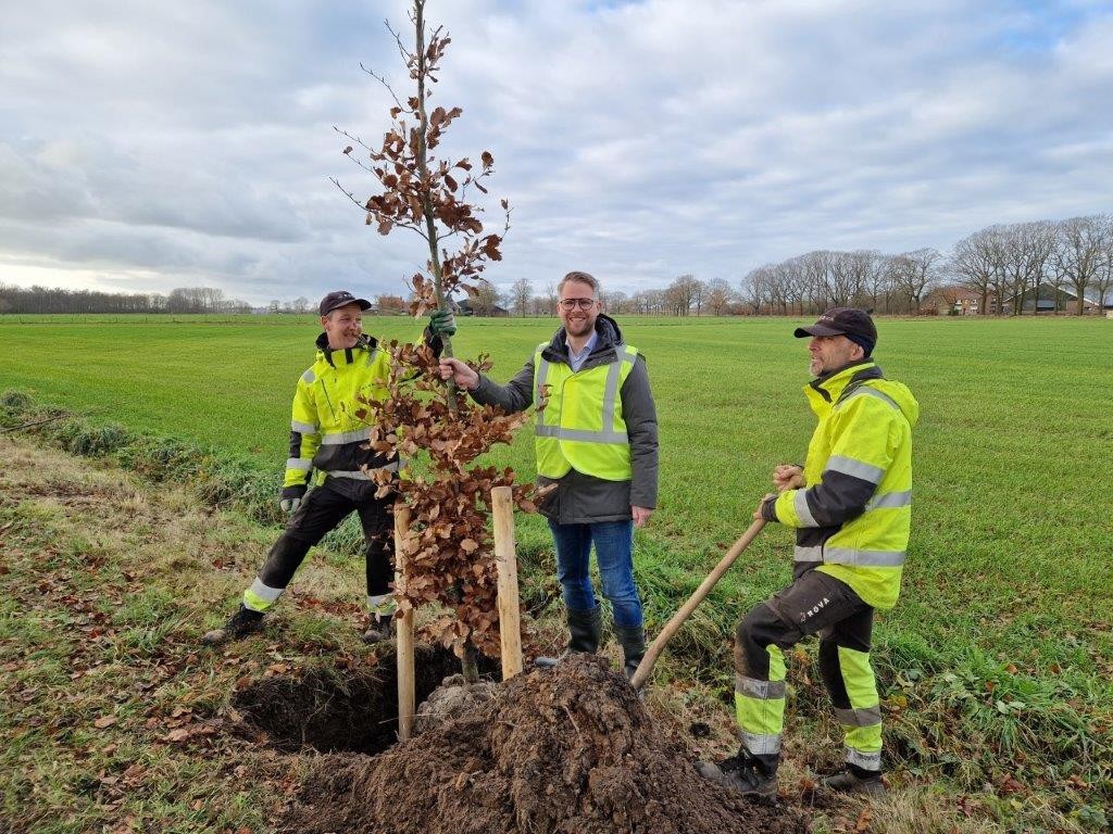 Zwolle plant 200 nieuwe bomen voor biodiversiteit en duurzaamheid