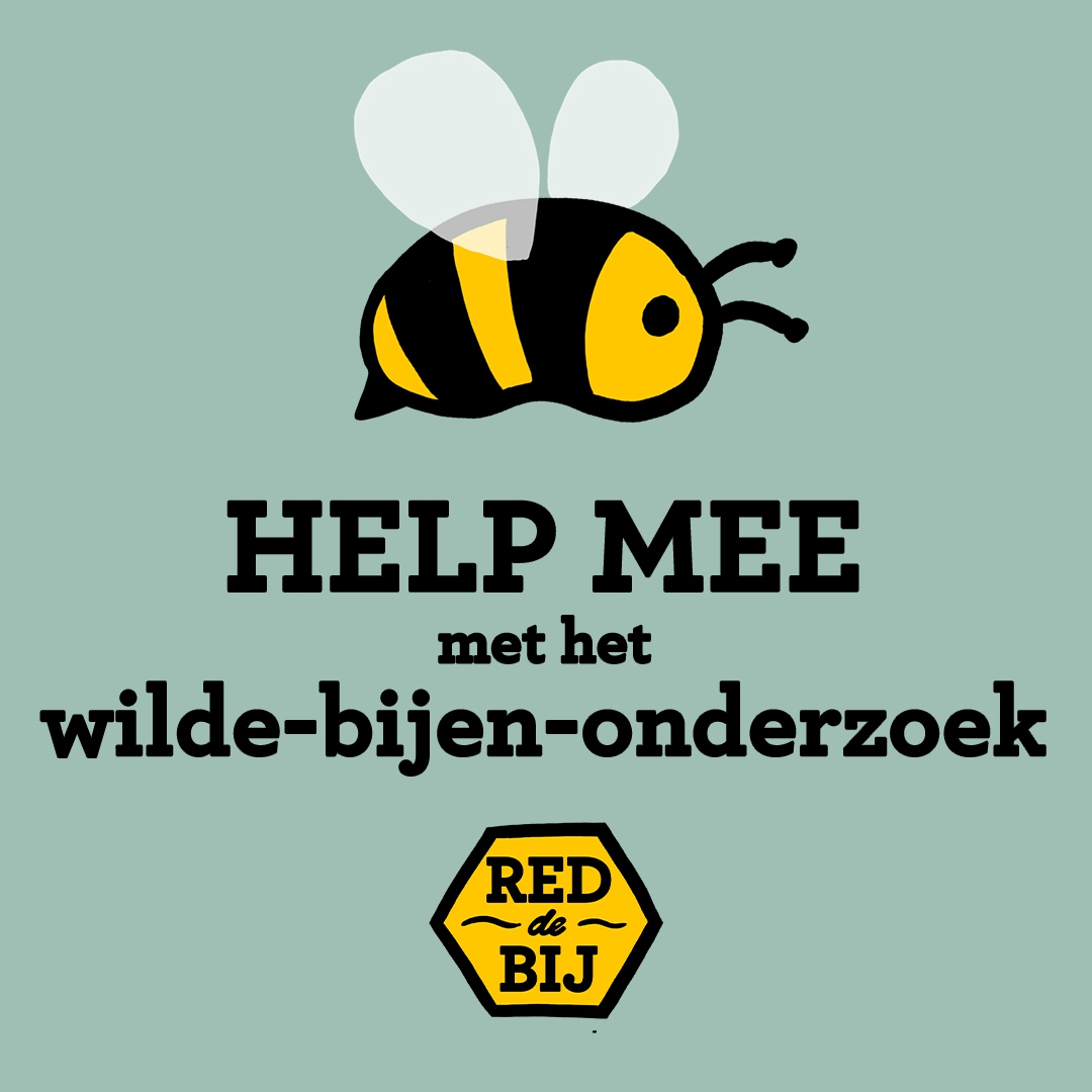 Burgeronderzoekers Gezocht: Impact van Pesticiden op Hommels in Kaart Brengen