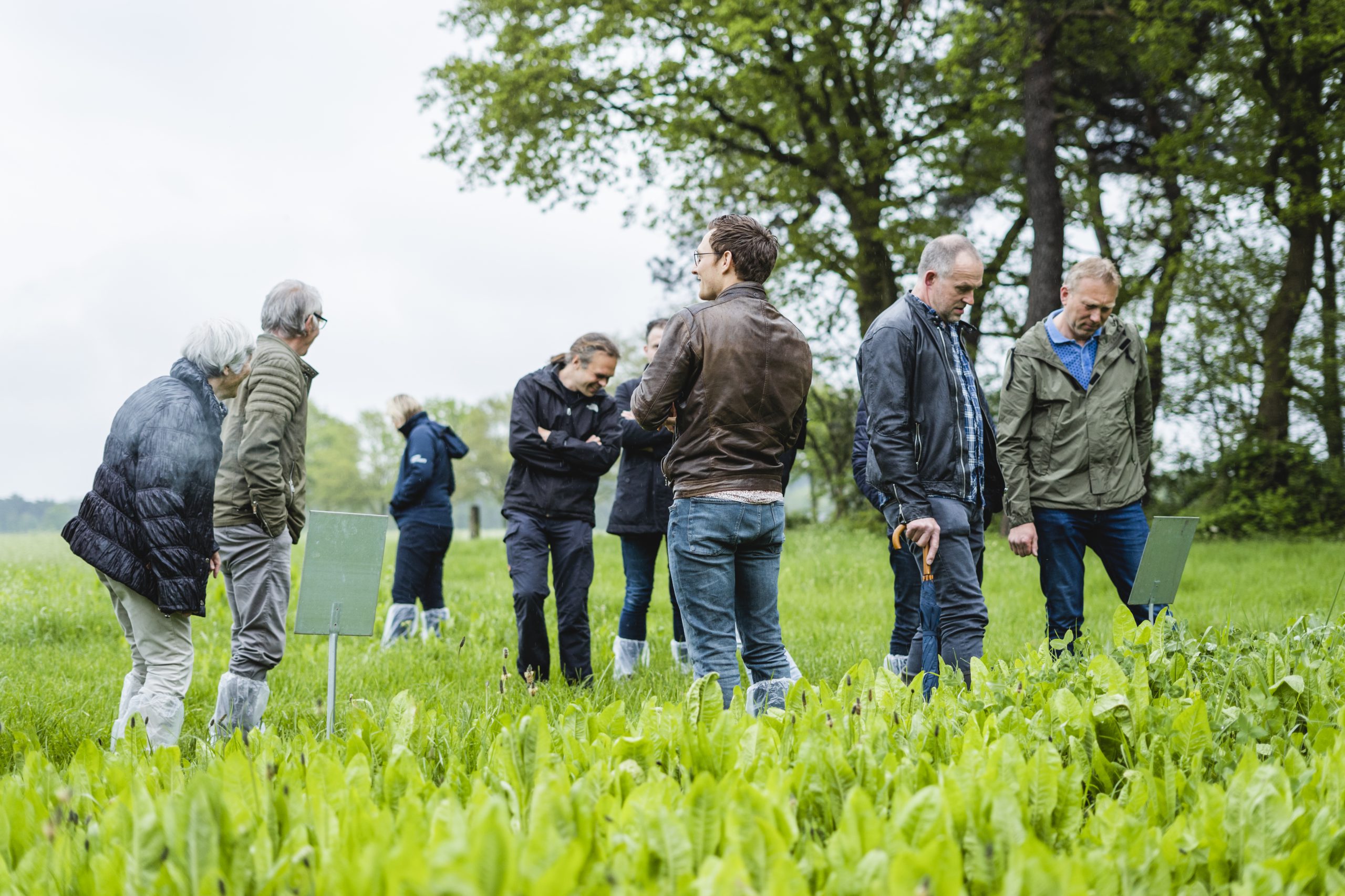 Jongeren en boeren werken samen aan duurzame landbouw in Oost-Nederland