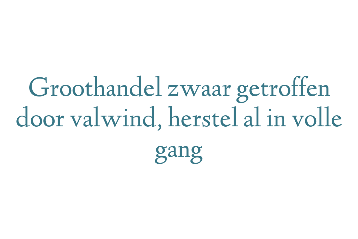 Groothandel zwaar getroffen door valwind, herstel al in volle gang