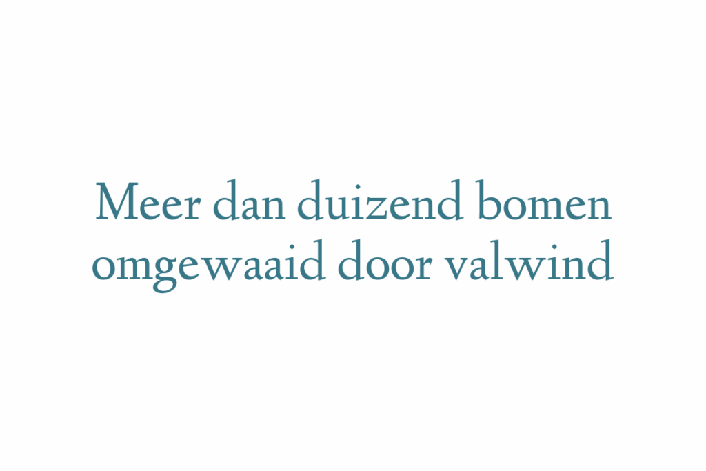 Meer dan duizend bomen omgewaaid door valwind