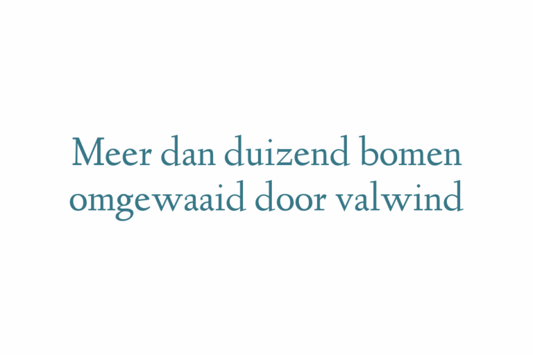 Meer dan duizend bomen omgewaaid door valwind