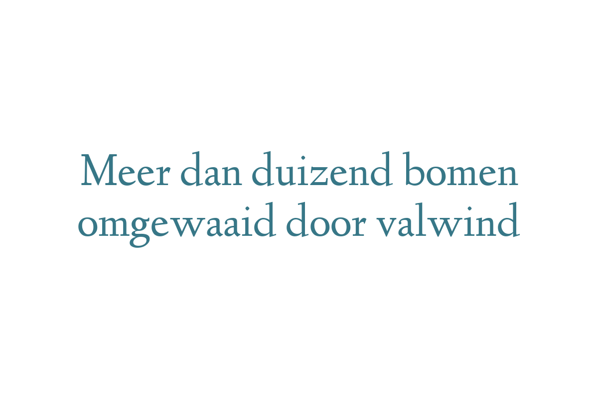Meer dan duizend bomen omgewaaid door valwind