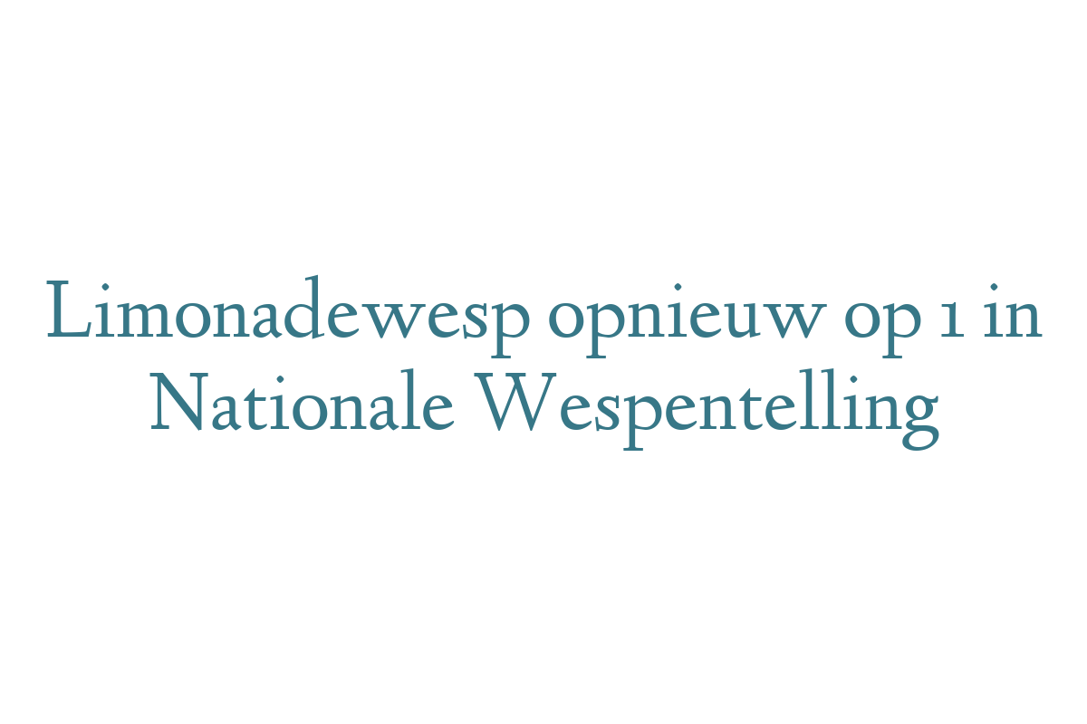 Limonadewesp opnieuw op 1 in Nationale Wespentelling