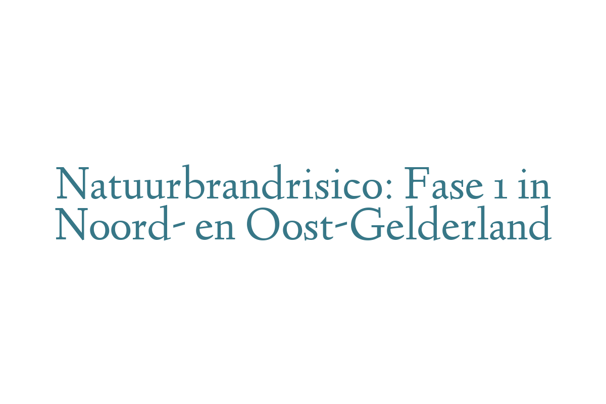Natuurbrandrisico: Fase 1 in Noord- en Oost-Gelderland