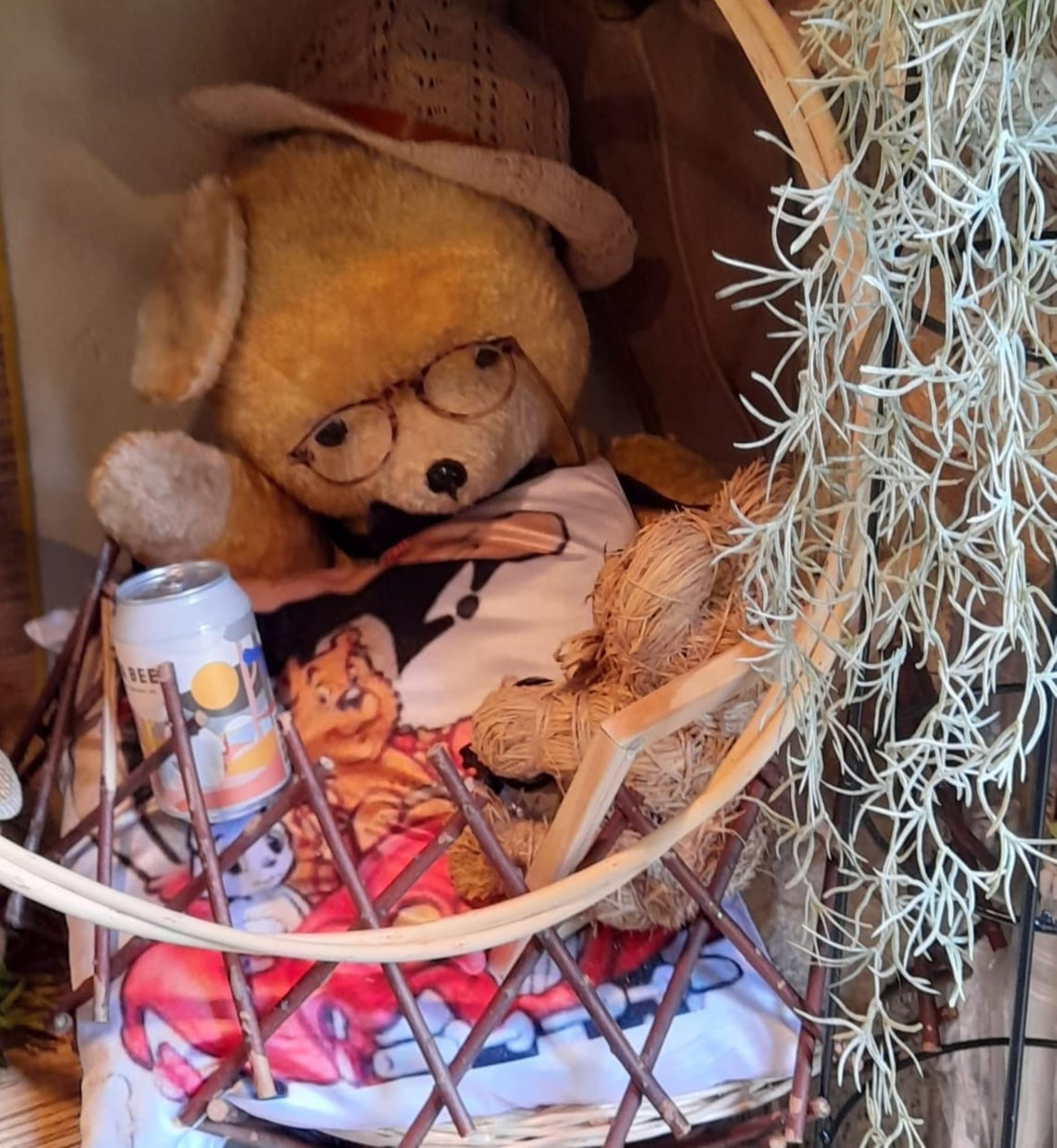 Expositie ‘Berenwereld’ in Stadsboerderij Grolle door Anny Starte