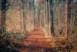 rondje-rot-hijink-foto-robert-nijhuis