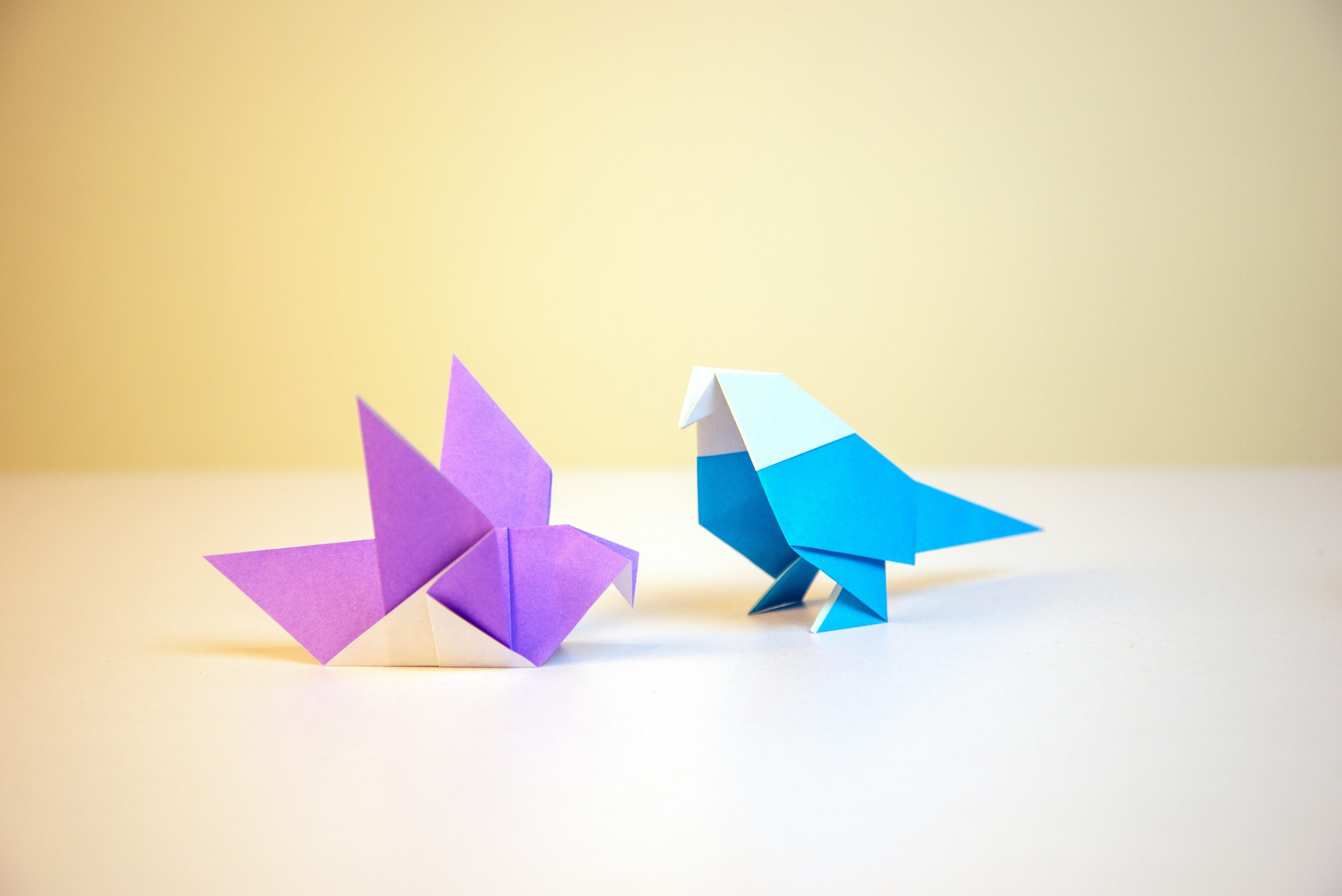 Kinderen ontdekken ‘De kunst van origami’ bij BIEBlab in Ruurlo, Winterswijk en Neede