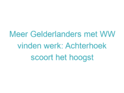 Meer Gelderlanders met WW vinden werk: Achterhoek scoort het hoogst